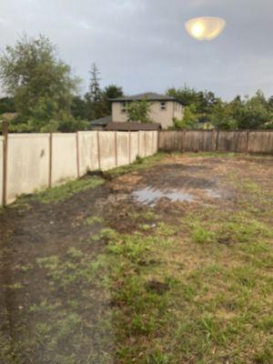 Standing water after installing French drain and yard graded.  Not level!