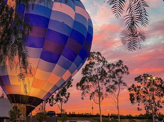 if you're looking for the perfect gift for the family, a balloon flight has fun for everyone!