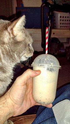 Coffee milkshake with mini chocolate chips