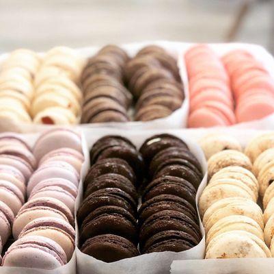 Blueberry, dark chocolate ganache, tiramisu macarons.