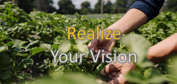 Realize your vision for your business. We'll generate clear financials to show you how to get there.