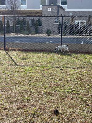 Lil girl enjoying her break along i-95!