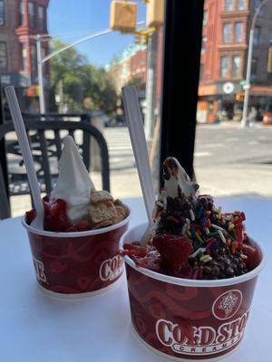 Small Frozen Yogurt with Toppings