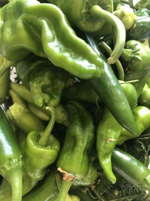 Peppers from Jamie's garden at Commons Park.