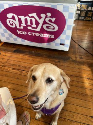 Rainey wants some Amy's ice cream too