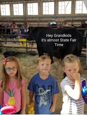 Grandkids loving the Fair