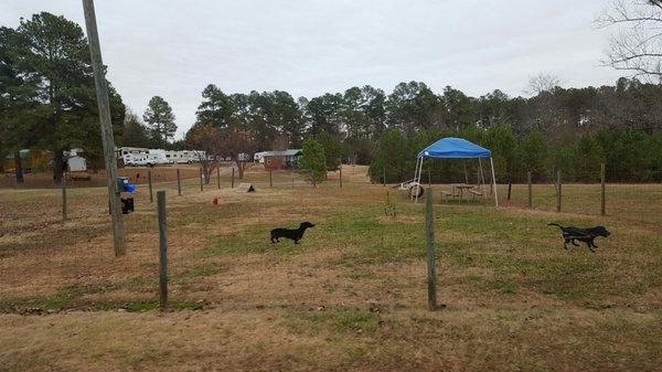 The dogs loved this big dog park. It's off leash so lots of room to room.