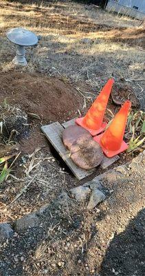 This picture shows how I covered the tank lid when I arrived at the property. I used what items I could find. Picture taken 8/26/21