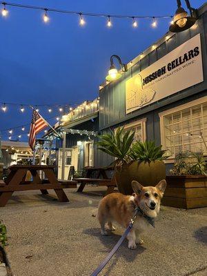 Great wines, dog-friendly