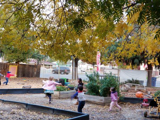 Joyful children playing in the outdoor area at Cottage Montessori school.