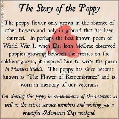 Story of the Poppy