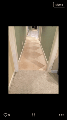 Hall Carpet Cleaned