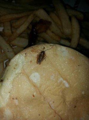 ROACH ON THE BOTTOM OF MY BURGER