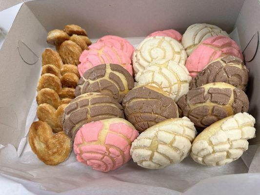 Conchas and butterfly cookies