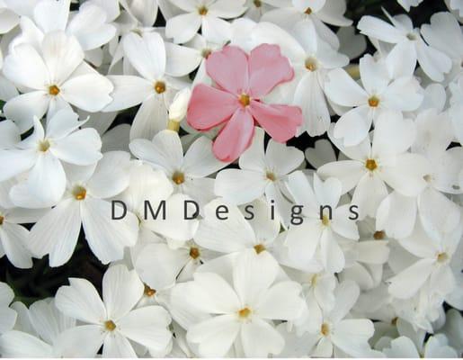 D M Designs