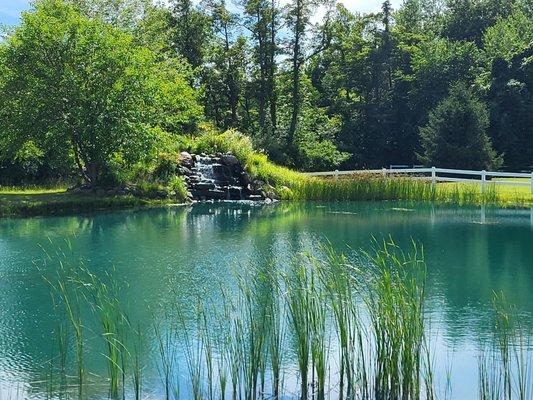 A view of the pond on the property.