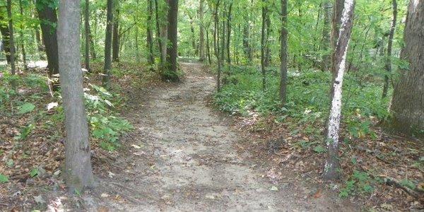 A nature trail goes around the perimeter of the property.