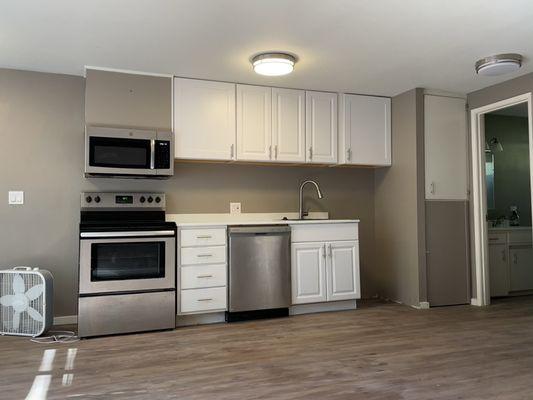 Rebuilt kitchen in an apartment that had mold and water damage.