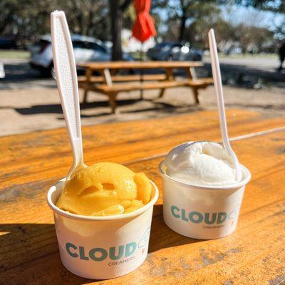 Mango Sorbet and Vanilla Bean