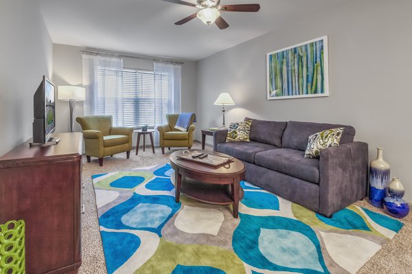 Renovated Unit Living Room