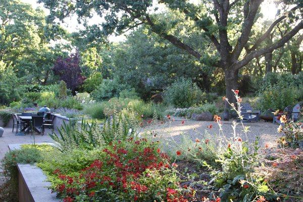 A beautiful dry oak woodland landscape.