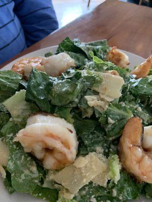 Caesar salad & shrimp