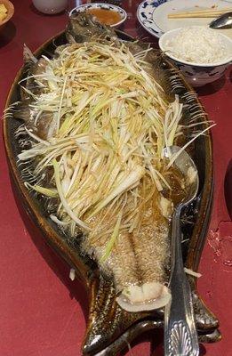 steamed flounder with scallions and ginger.