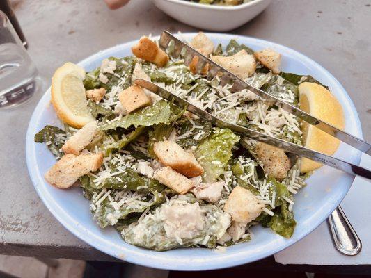 Caesar Salad (whole) with chicken added