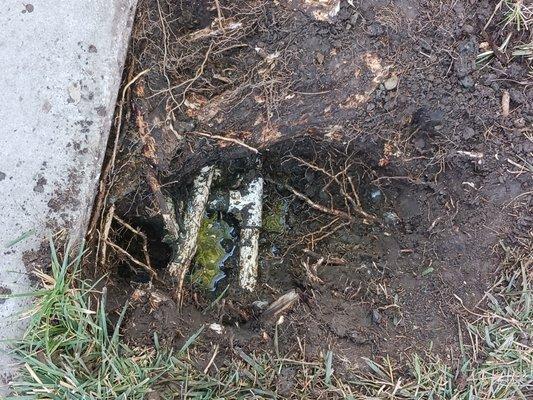 Actual location of leak. Also where Irrigation Wiring Line was cut, making entire system inoperable.