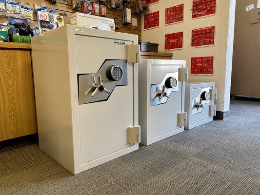 Hollon Safes