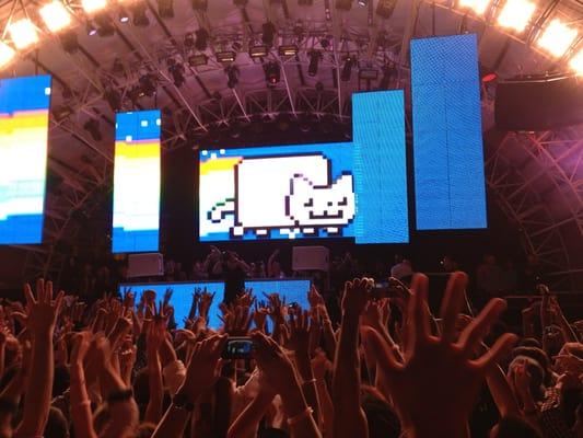 Nan Cat on stage with Skrillex