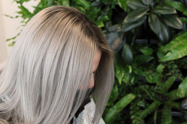 Platinum silver with a smudged root