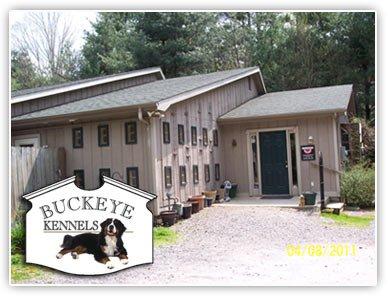 Buckeye Kennels