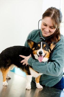 Truss Vet - Veterinary Urgent Care