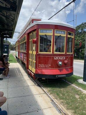 City Park/Museum back to Canal Street for $1.25