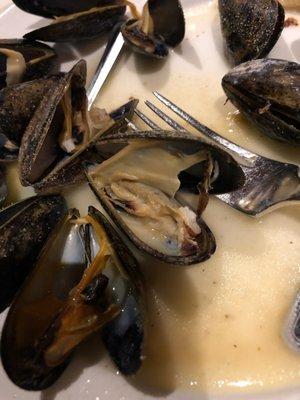 Dead Mussels. Plain Dangerous being served to people...