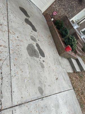 Oil leaks on my driveway (that's not all of them)