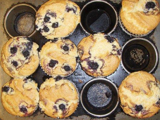 Fresh Baked Pastries Daily on Premises Blueberry Muffins