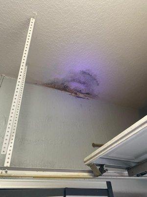 Visible roof leak