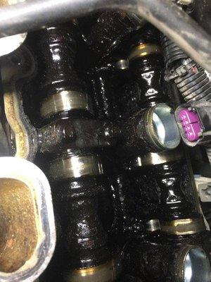 Oil caked inside engine.