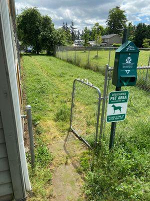 Dog run area completely overgrown and full of Dog feces