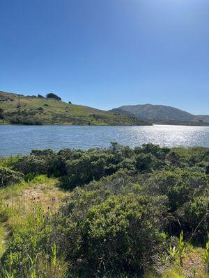 Nicasio Reservoir