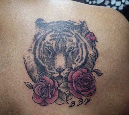 Beautiful tiger by Krystal