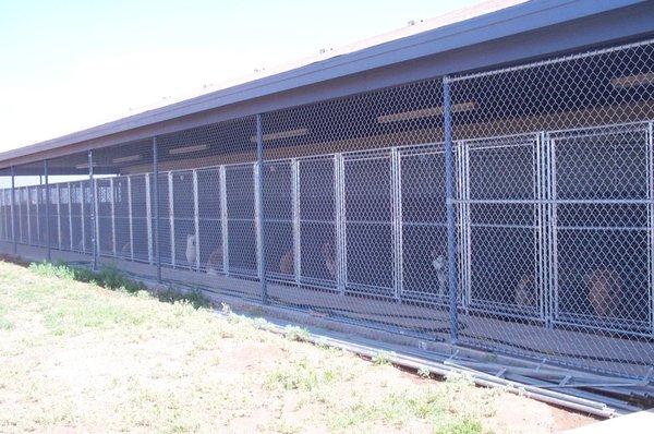 Outside section of kennel