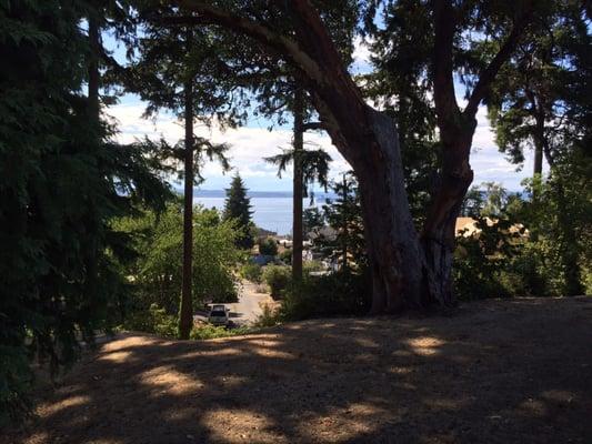 Little peak of the Puget Sound