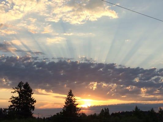 Sunset View from the park