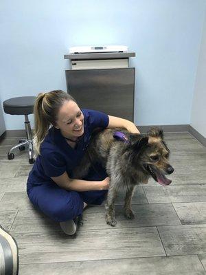 My dog loves the doctors here!