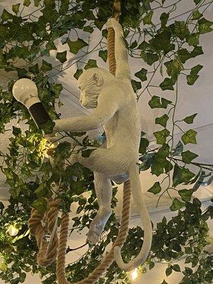 Vines hanging from ceiling - monkey too