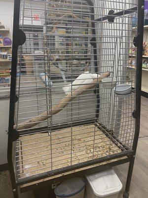 Cockatoo with NO enrichment, flies around cage, kept biting the bars and shaking the cage, cage grossly undersized for a bird this size