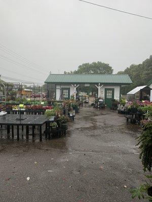 Stringer's Garden Centers